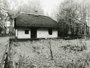 Chata w Kampinosie, fot. Waldemar Kaiser