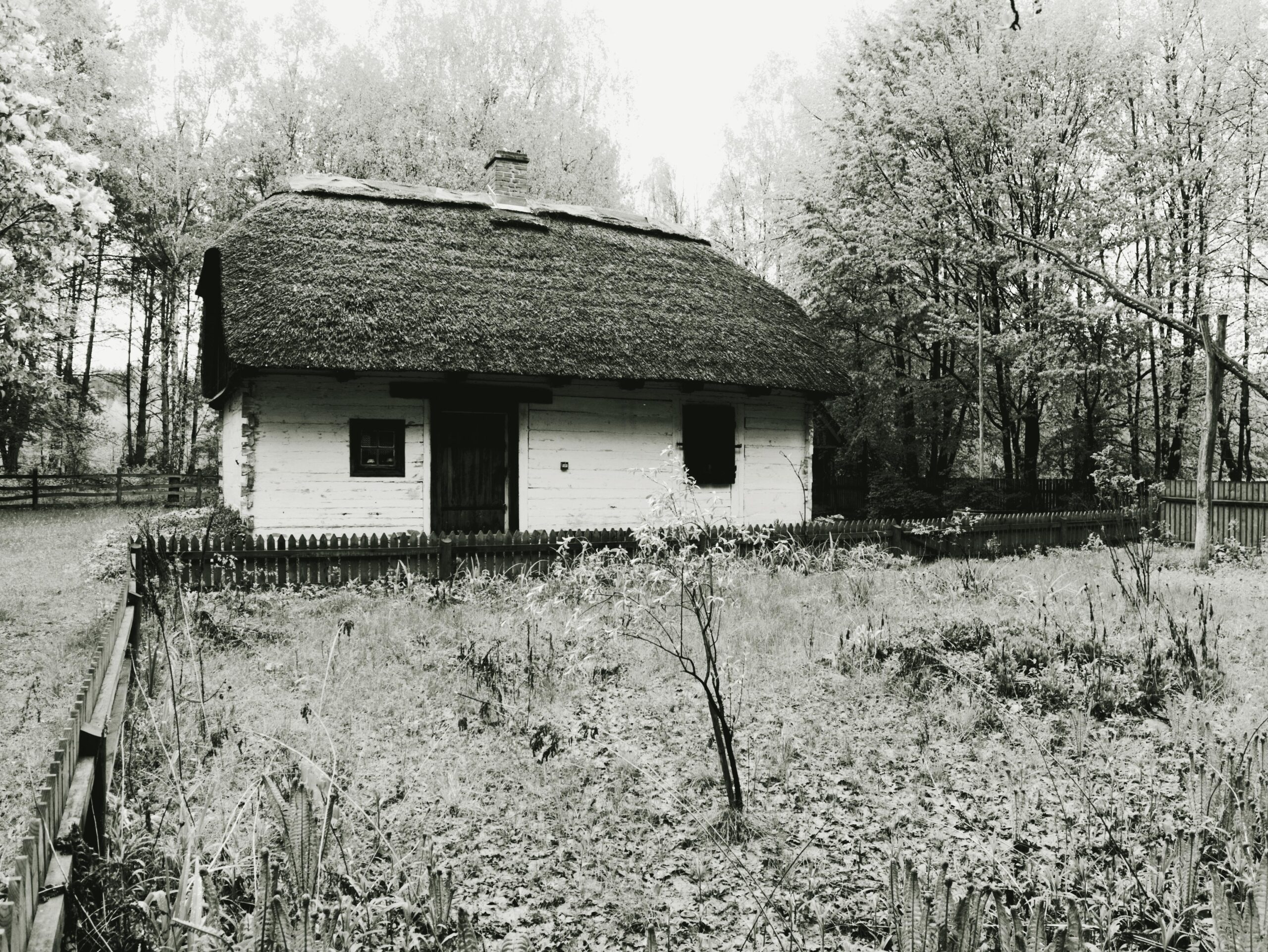 Chata w Kampinosie, fot. Waldemar Kaiser