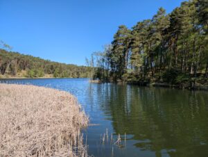 Drawieński Park Narodowy wiosną [ZDJĘCIA]