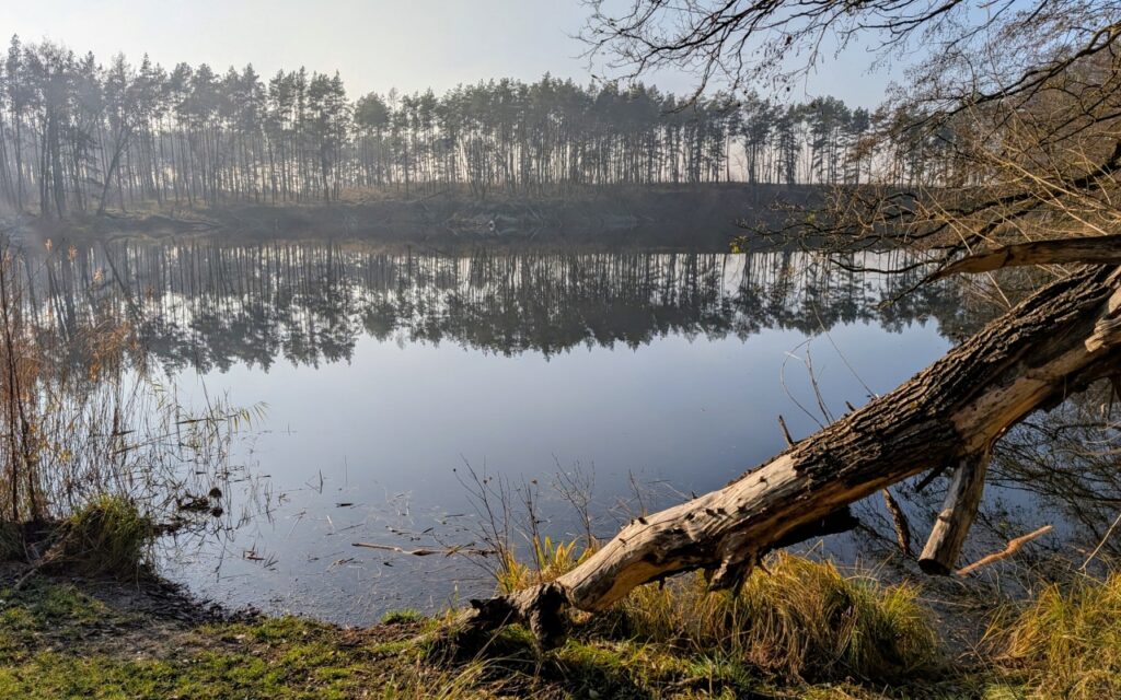 Park Krajobrazowy "Puszcza Zielonka" w zimowej scenerii, fot. Waldemar Kaiser