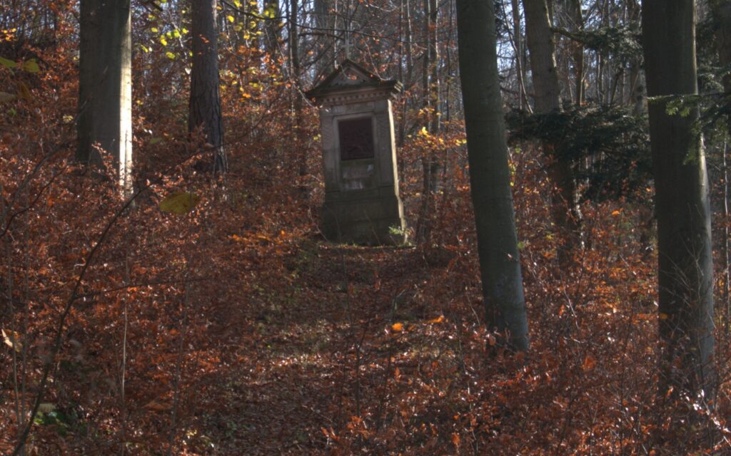 Góry Stołowe, fot. Waldemar Kaiser