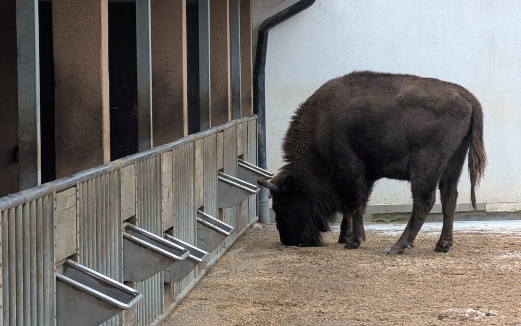 Rysie, bizony i bunkry, fot. Waldemar Kaiser